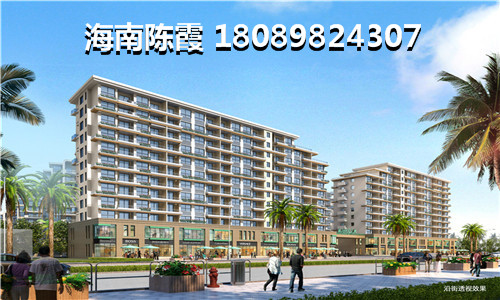 外地人在海南兴隆镇买房那个地区好，2023年去万宁兴隆镇买房划得来吗？